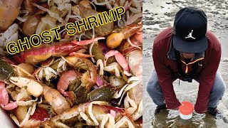 How To Catch Ghost Shrimp (Sand Shrimp Digging) on the Oregon Coast