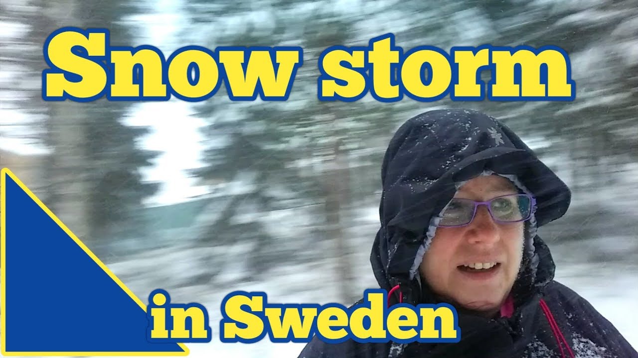 Snow storm in Sweden - a short video in the snow - YouTube