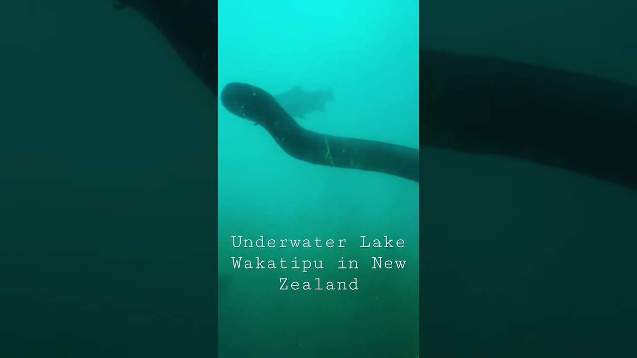 Lake Wakatipu in New Zealand