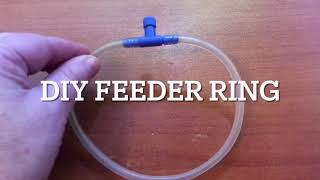 DIY fish feeder ring