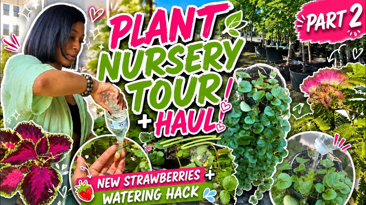 Plant Nursery Tour + Haul 🌱 New Strawberries, Watering Hack