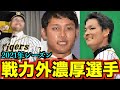 【阪神ファン集合】阪神タイガース今季の戦力外がほぼ判明したので公開します