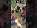 DAY 5 PLANT A TREE DRIVE#EARTH#GREEN#CLIMATE#NAJAFGARH