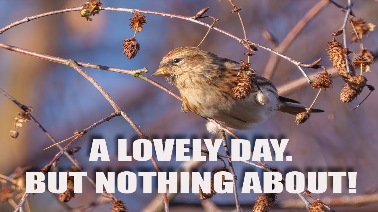 Я хочу фотографировать!........ Но вокруг ничего нет.