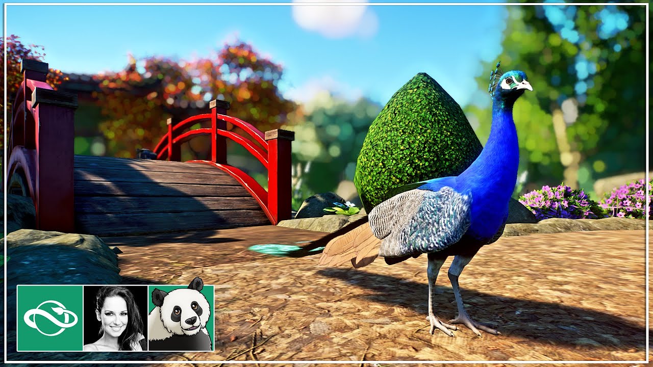 Peafowl Walkthrough Habitat Speed Build Planet Zoo Meilin Zoo Ep 9 Youtube