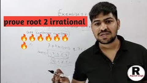 Revisiting Irrational Number || 2023-24|| Real Number class 10th || chapter 1 Exercise 1.3 ||