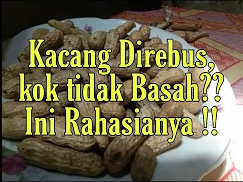 Cara Merebus Kacang Tanah Hasilnya Tidak Basah