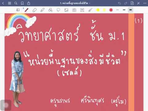 วีดีโอ: หน่วยพื้นฐานของสิ่งมีชีวิตทั้งหมดคืออะไร?