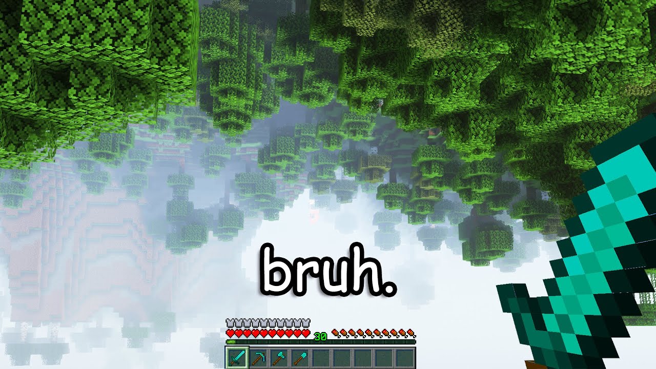 Minecraft Upside Down Is A Crime