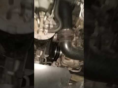 Sonido polea alternador