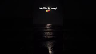 Family Di Member Resimi