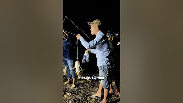 Câu cá tra sông với mồi câu R1 và R3 #camr1 #camr2 #camr3 #mồicâur1 #mồicâur3