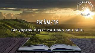 En’âm  59 Mansur El Salimi