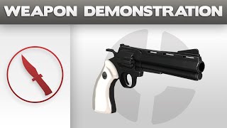 Weapon Demonstration: Revolver
