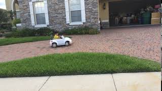 IMG 4930
