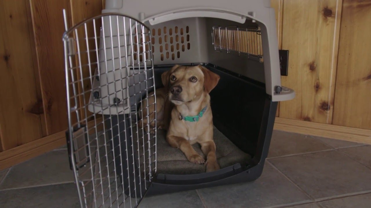 Pet Mate - Caisse Transport Ultra Vari Kennel pour Chien et Chat