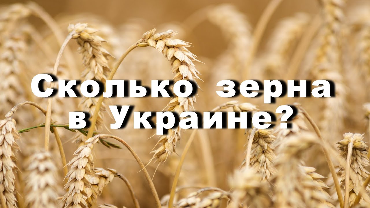 Сколько зерна в Украине? - YouTube