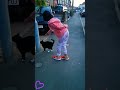 Catchy Meow! 😻 #animallove #fun #londoner #meowing #viral #memories