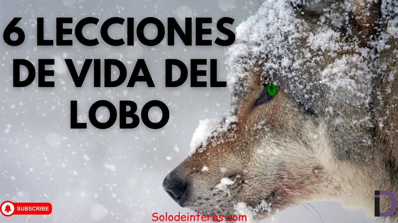 De Ataúlfo a Licario: las muchas maneras de llamarse 'lobo', image size:1280x720