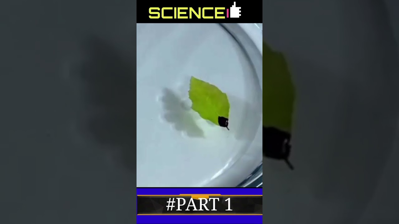 Science experiments