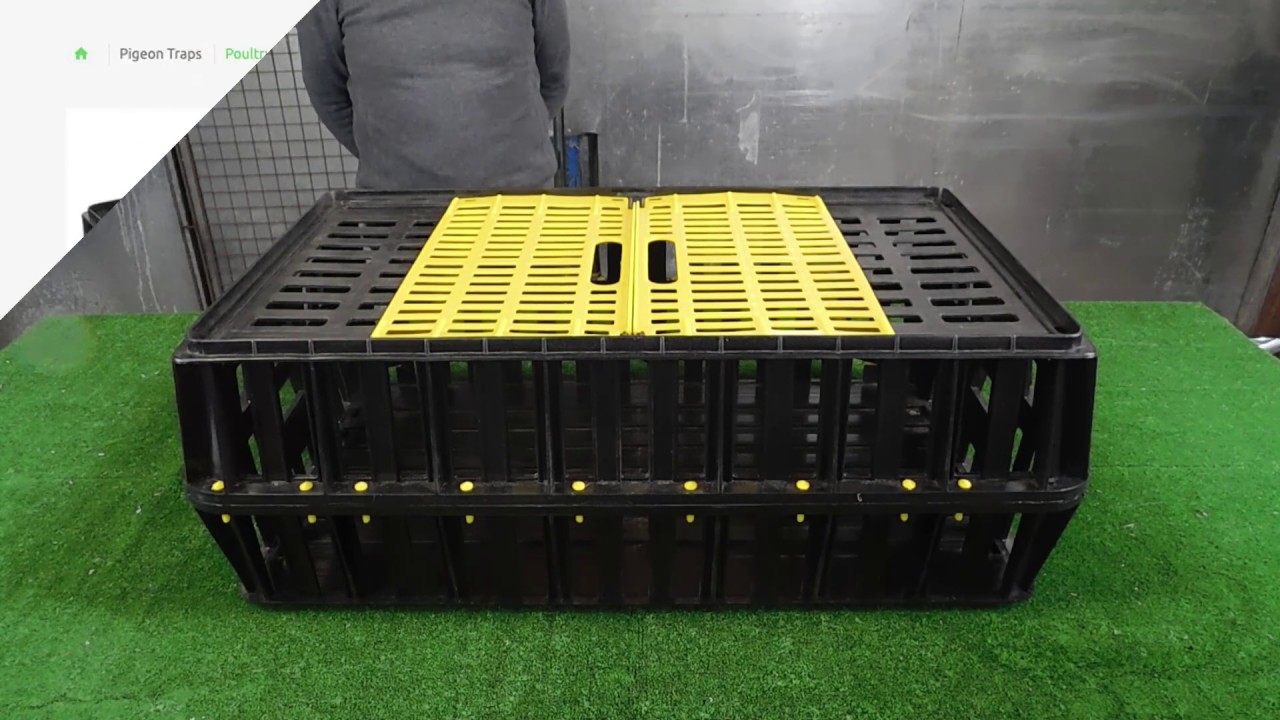 Trap Man Poultry Transport Crate