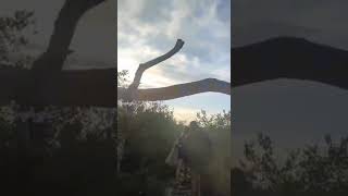 IMMUKI ISLAND | Balaoan La Union Tourist Spot | simplyghe