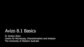 Avizo Tutorial 1 Basics