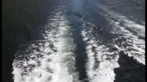 Direct - One Step Forward [Unofficial Music Video]