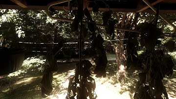 Catnip Health Benefits, Uses, and harvesting some I am growing.