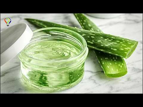 Video: Aloe Vera Jelini Yüzünüzde Kullanmanın 3 Basit Yolu