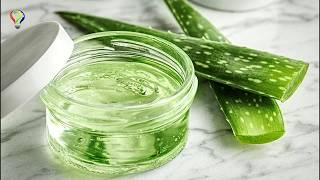 Aloe Vera Jeli Nasıl Çıkartılır? Aloe Vera Kremi Nasıl Yapılır? Resimi