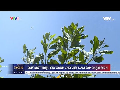 Video Quỹ 1 triệu cây xanh cho Việt Nam sắp chạm đích - youtube