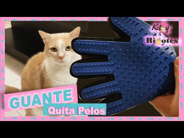 Chau pelos de animales! Trucos para quitarlos de las telas