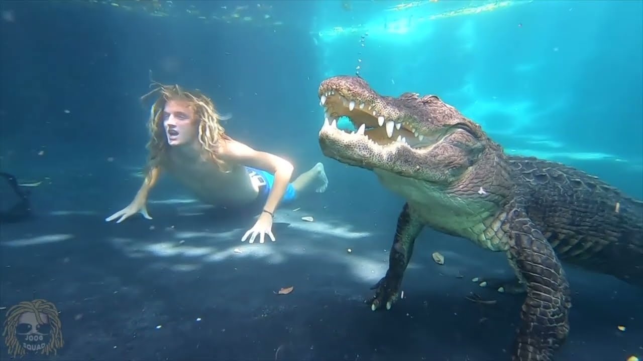 DON'T TAKE PICTURES WITH ALLIGATORS!!  (WARNING : Parental Advisory)