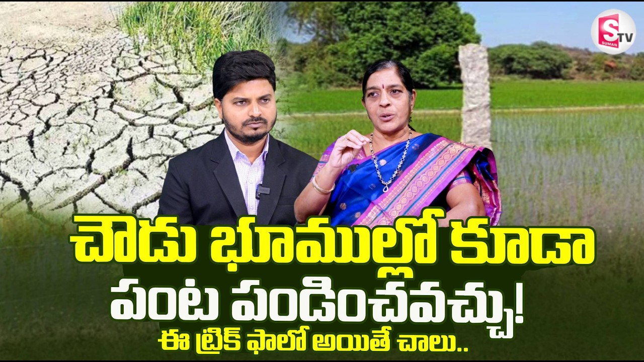 ఈ ట్రిక్ ఫాలో అయితే చాలు చౌడు భూముల్లో కూడా పంట పండించవచ్చు ! | Convert fallow lands to cultivation