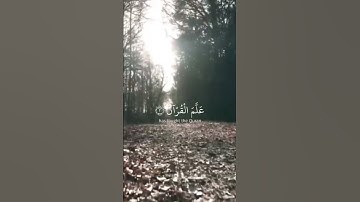 ياسر الدوسري// تلاوة من سورة الرحمن 🎧🎙