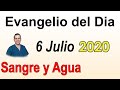 Evangelio Del Dia de Hoy - Lunes 6 Julio 2020- Señor Imponle Tus Manos - Sangre y Agua