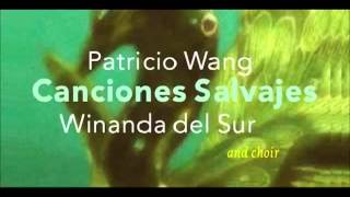 Video thumbnail of "Canciones Salvajes (Patricio Wang) - La Desdichada"