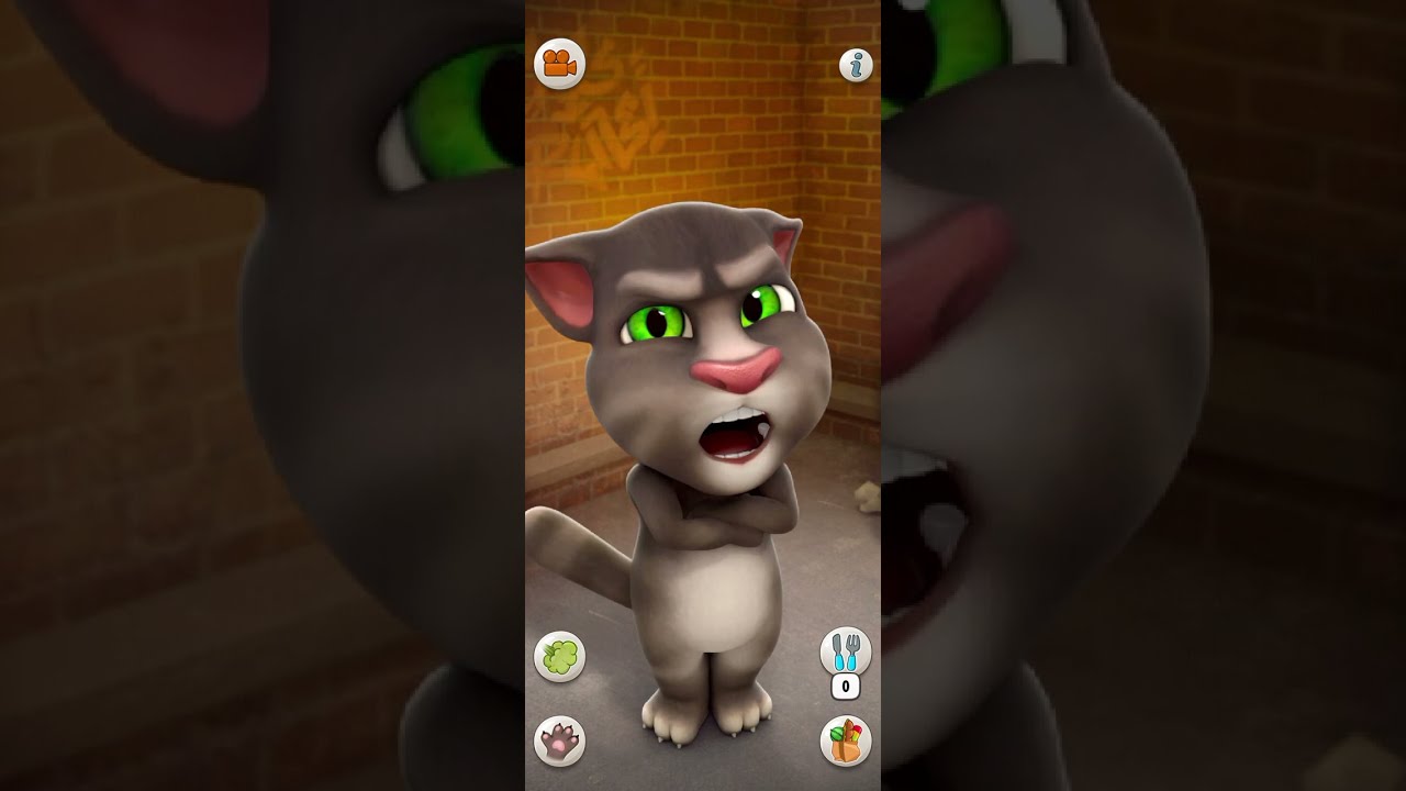 Talking Tom Cat Part 13803 Shorts