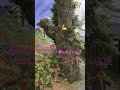 富士山はミニスカートに似ている説より〜ミニミニデート❤️♯山本リンダ様♯世界遺産はミニスカート♯🗻♯大石より♯チャリンコ🚲軍団
