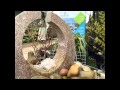 Quick tour of Earlswood Garden &amp; Landscape Centre, Solihull