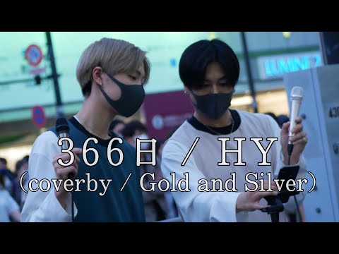 366日 / HY（coverby / Gold and Silver）