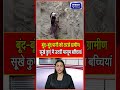 खरगोन में  बूंद-बूंद पानी को तरसे ग्रामीण #shortsviral #shortvideo #shorts