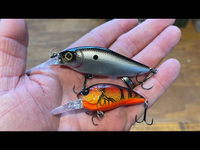 Shad Or Crawdad Color Cranks In Cold Water?…Use THIS Simple System 