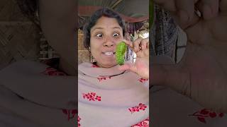 Gegagedigedagedago grappige videoS1863