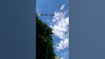 سورة الفاتحة بصوت الشيخ ماهر المعيقلي ♡راحة نفسية♡✨️❤️ #peace #beautiful #المصحف #quran #هدوء