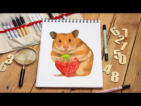 Hamster Çizimi – Hamster çiziminiz için basit talimatlar