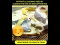 Ginataang Yellow Fin Tuna #shorts #yellowfintuna #ginataangtuna #cooking #food #foodporn #foodie