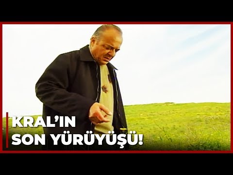 Memoli, Kral'ı VURDU! | Yılan Hikayesi 88. Bölüm