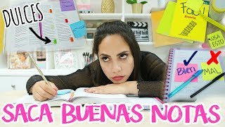 TRUCOS PARA ESTUDIAR Y APROBAR SI ERES FLOJO | What The Chic